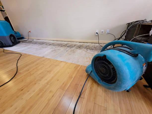 Professional Basement Flood Cleanup technician working in Leesburg, FL